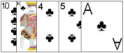 Five card flush Five card flush