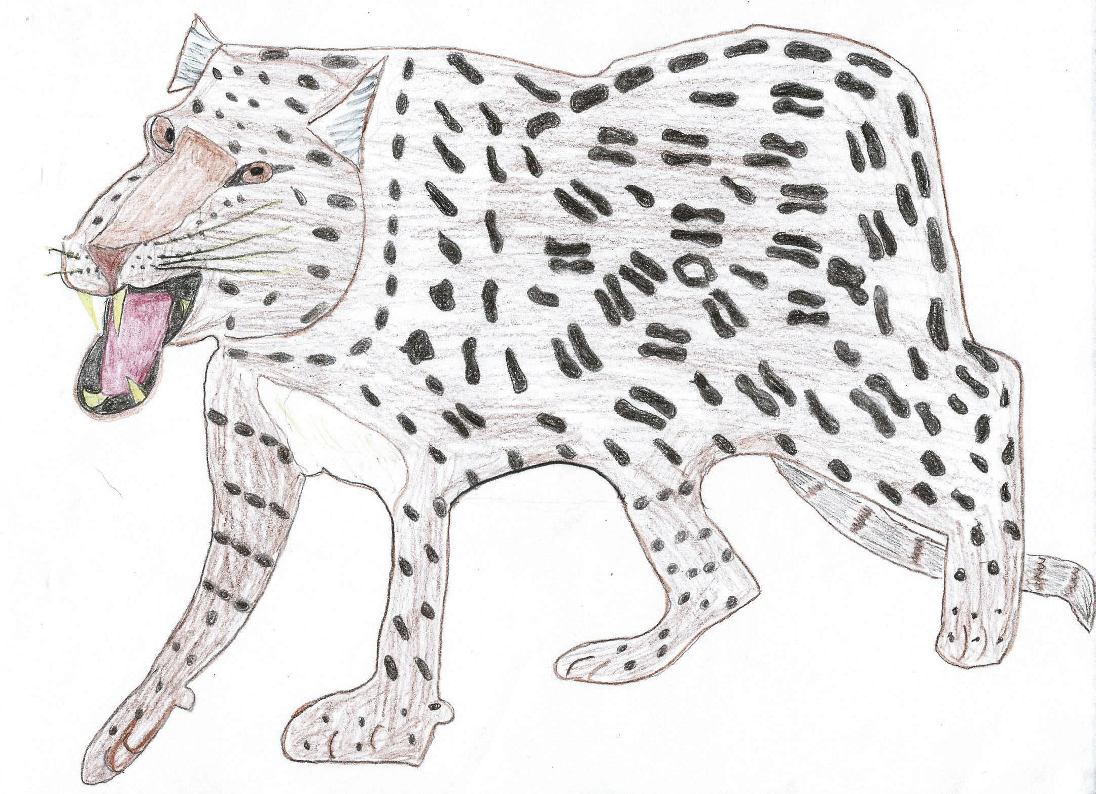 How to play Leopard How to play Leopard