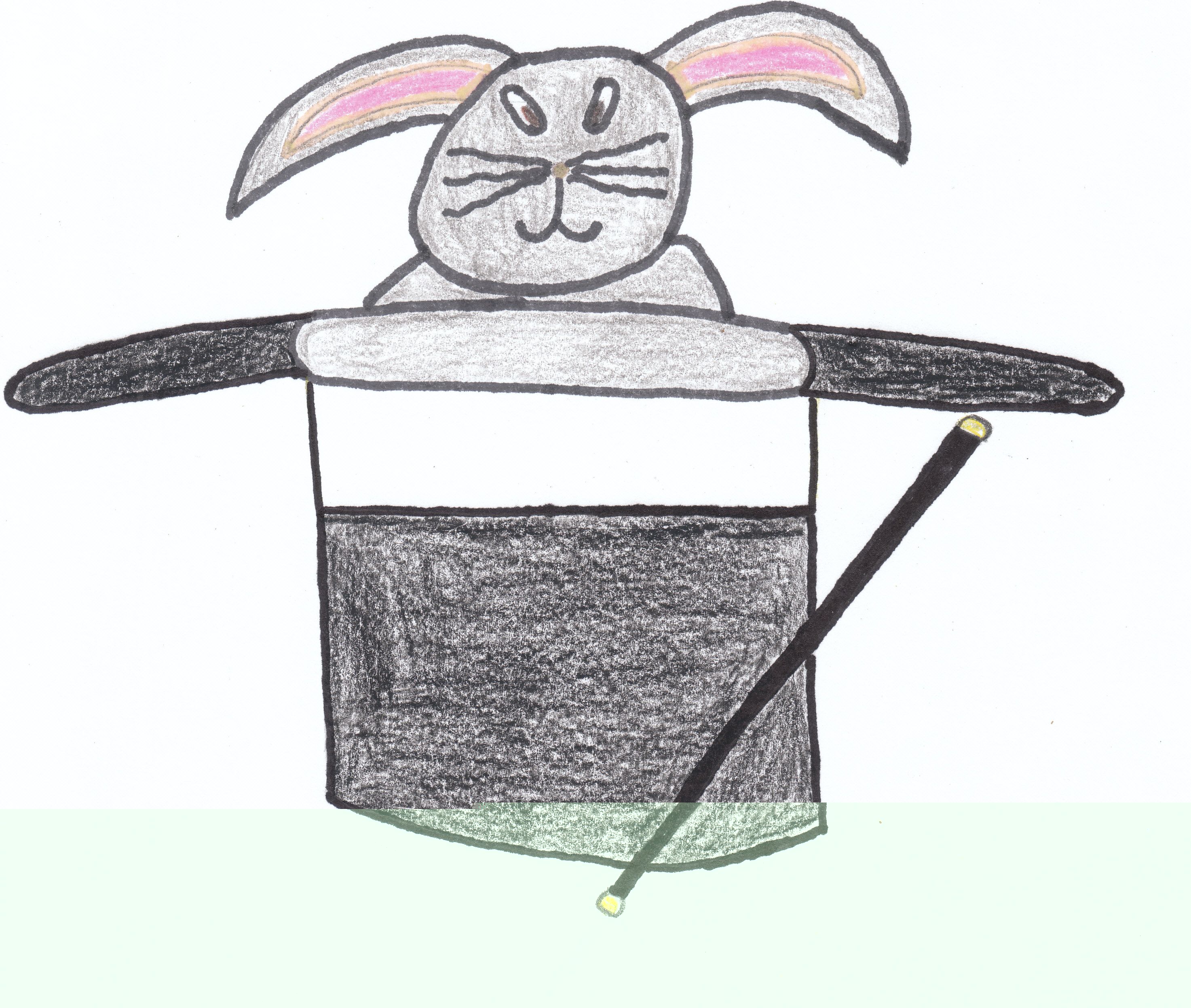 Rabbit in Hat Rabbit in Hat